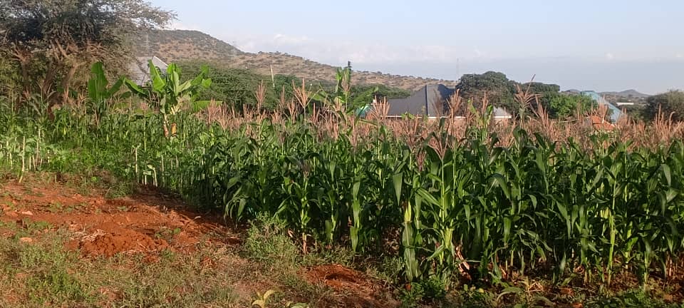 Farm Project